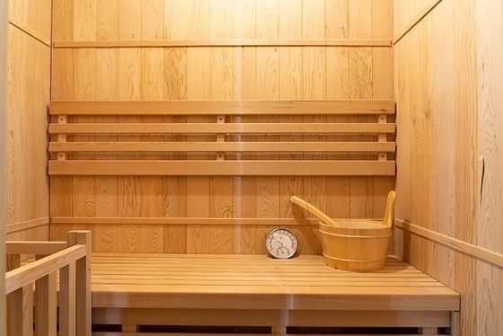 Ev Küçük Ahşap Geleneksel Buhar 2 Kişilik Sauna, 3KW Elektrikli Ocaklı
