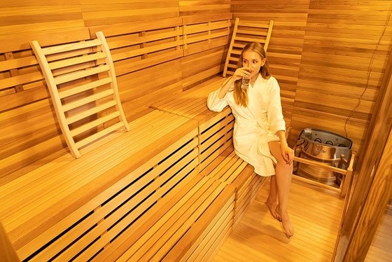 9KW Elektrikli Soba ile OEM ve ODM Ahşap Açık Kuru Sauna