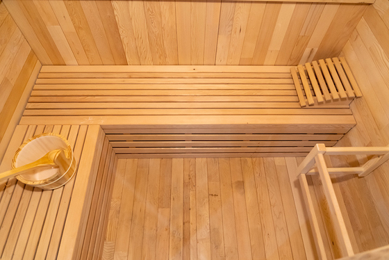 220V Voltaj Sauna Buharlı Ozon Buharlı Sauna Ozon Jeneratörüyle Hemlock Kırmızı Sedir 0-99 MIN Zamanlayıcı